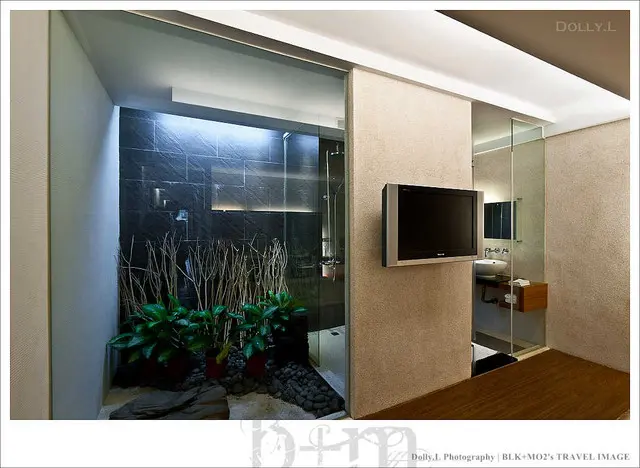 日月潭民宿│朵麗絲的家～小而美的貓咪主題民宿