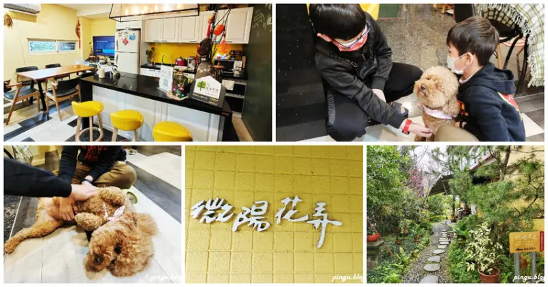 宜蘭冬山住宿｜微陽花弄歐風休閒民宿 寵物友善民宿 清晨的陽光撒進房間 在充滿紫色的覆盆子奶酪房超甜蜜 - 小企鵝生活趣