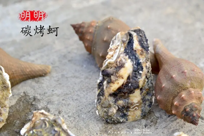 東石蚵-現剝東石牛仔蚵