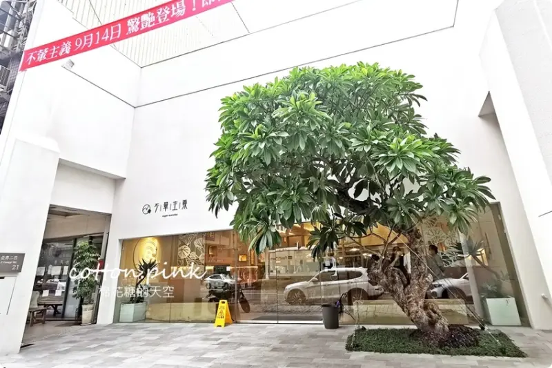 公益路最新純白餐廳太驚豔！冰花煎餃、三杯魷花～完全吃不出來是素食阿～