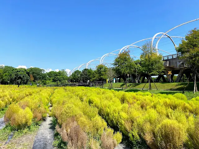 宜蘭冬山車站 | 浪漫波波草 打卡新熱點 | 月亮什麼冬冬 最大宇宙星系 | 西部牛仔風稻草捲心酥  | 彩色繽紛小屋