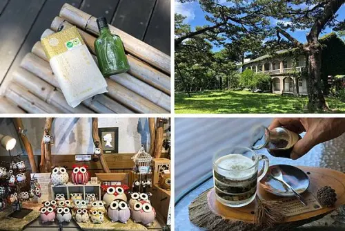 （花蓮景點）松園別館～沒到過松園別館別說你來過花蓮！洄瀾匠購GO上網就能買到花蓮好物！超美針松汁搭配五葉松冰淇淋！來松園別館看展、拍照、下午茶一次滿足！