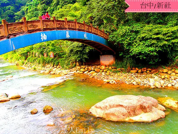 [遊記]:新社私房景點抽藤坑,百菇莊體驗採菇樂&香菇冰淇淋!(下)