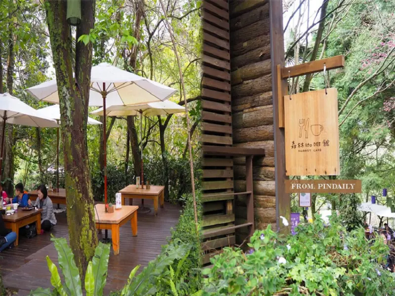 【台中景點】台中新社・森林咖啡館／位於薰衣草森林裡的餐廳，彷彿置身在花草圍繞的森林中