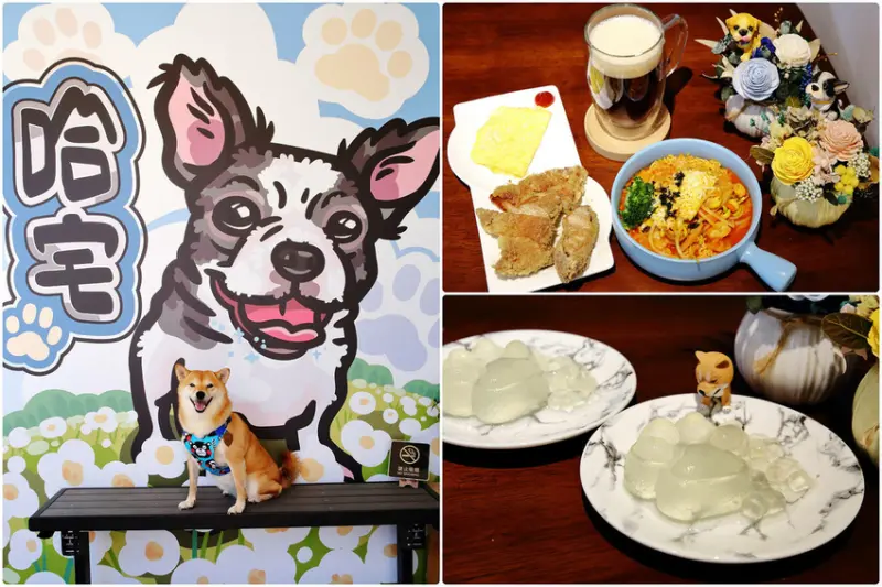 【食。中壢】哈宅Ha Zhai寵物友善餐廳〜中壢龍岡新開寵物友善餐廳，超友善的早午餐毛孩陪你吃！
