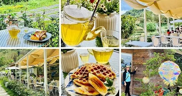 新北唯美森林咖啡館【心茶合一 TeaFlow】充滿綠意盎然咖啡廳/招牌必點外酥內軟可頌鬆餅/享受當下的美好