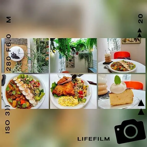 逗之 apt.DouZ～在眾多植物簇擁下、用香料調製出的美味料理。