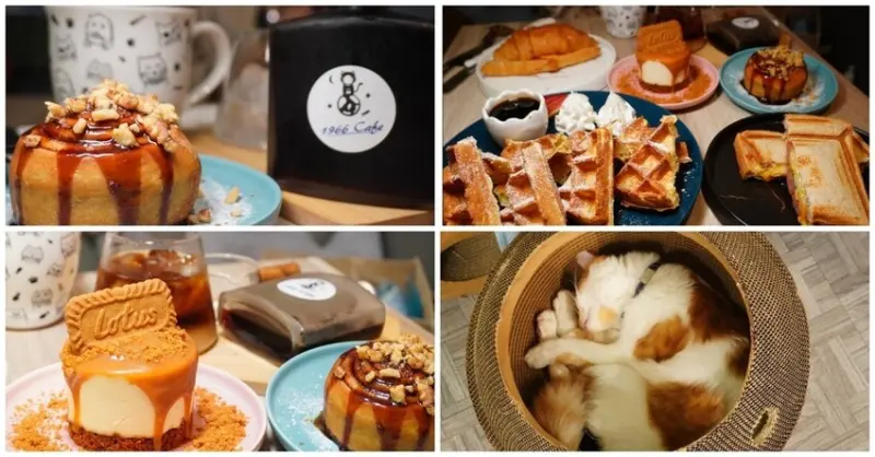 [板橋咖啡廳推薦] 1966Cafe- 療癒小橘貓的手作甜點 x下午茶咖啡/ 板橋必喝咖啡/ 手作甜點/ 台北寵物咖啡