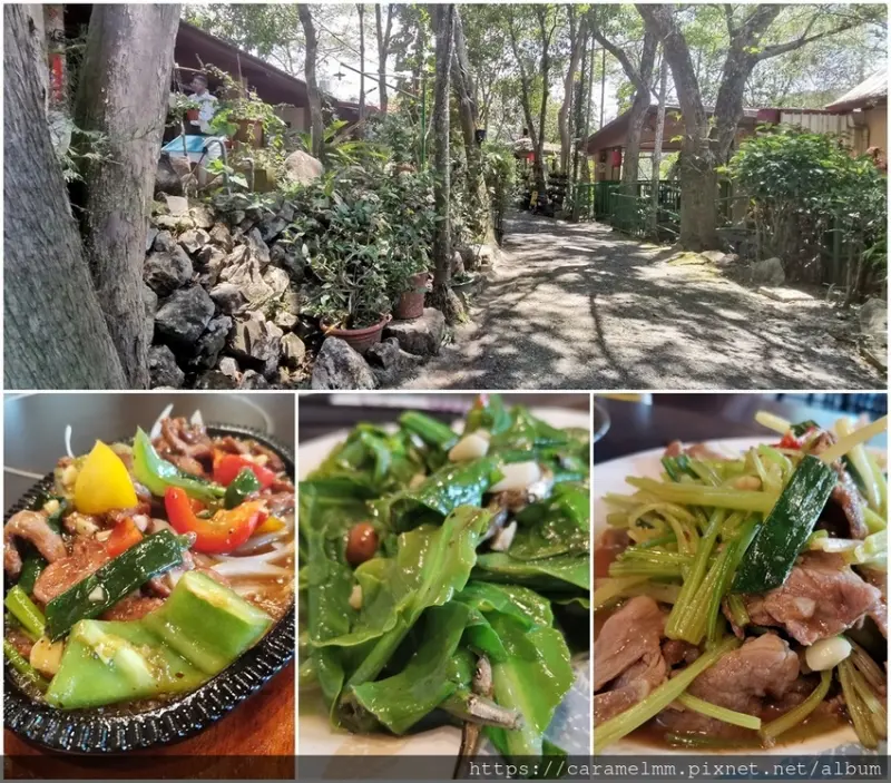 【南投魚池】槌仔寮庄腳菜花園餐館 日月潭餐廳 合菜餐廳 家常菜料理 古早味料理 價格實惠 專屬停車場