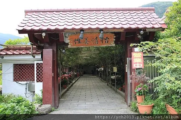 陽明山竹子湖／頂湖用餐、芋見小路散步，下湖逛海芋環狀步道
