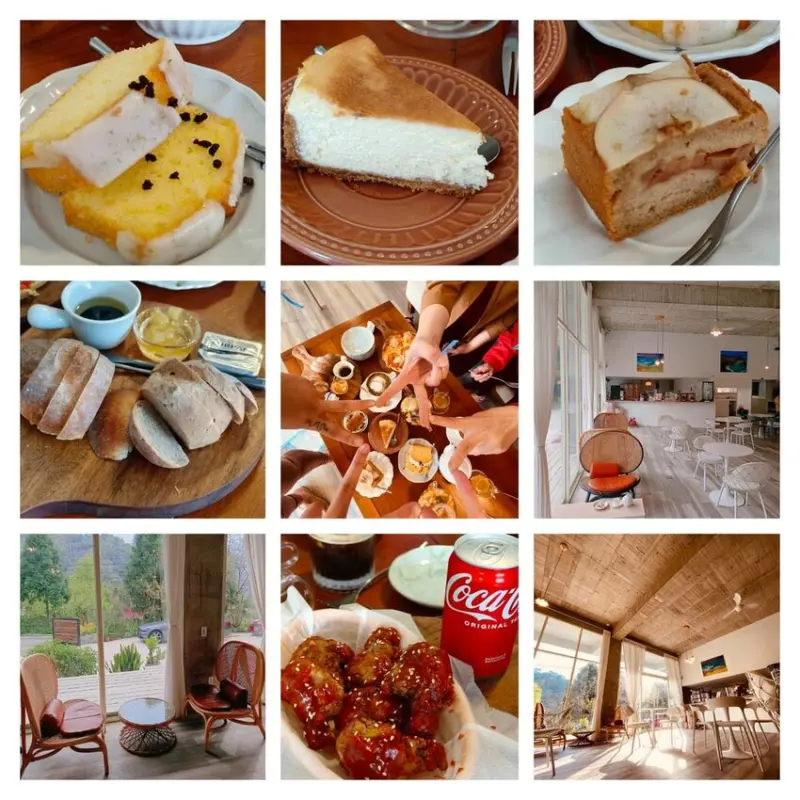 【新竹.尖石鄉】寵物友善咖啡廳。萃萃咖啡內有店貓店鳥。韓式炸雞+蘋果磅蛋糕+比薩+咖啡+落地玻璃窗