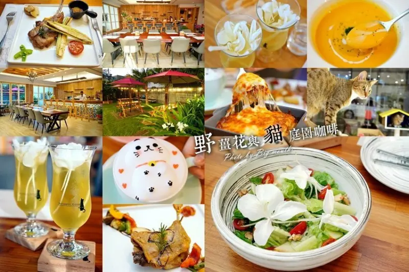 【桃園龍潭】野薑花與貓庭園咖啡．野薑花入菜、近距離與貓咪互動! 