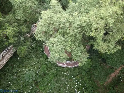 【遊記】嘉義竹崎_竹崎親水公園@可以水裡游 可以天空走 可以搖啊搖 可以逛阿逛 四種享受一次給你