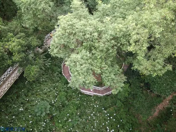 【遊記】嘉義竹崎_竹崎親水公園@可以水裡游 可以天空走 可以搖啊搖 可以逛阿逛 四種享受一次給你