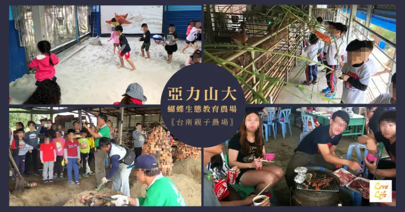 【台南休閒農場/羊肉爐】亞力山大蝴蝶生態教育農場｜貼近大自然的生態教育農場｜台南戶外教學首選｜家庭遊玩推薦