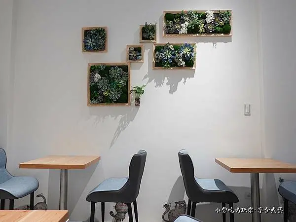 台中西屯美食/近逢甲商圈可愛貓咪主題網美餐廳【瘋拌麵FUN noodle河南店】寵物友善餐廳好吃乾拌麵(心型麵/刀削麵/細麵/拉麵麵條)8款主食風味；必點小菜~川味椒麻鴨血豆腐麻辣燙(優惠好康/瘋拌麵