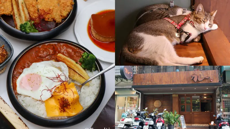【TAKEOUT CURRY SHOP｜台北大安咖哩專門店】主打香料咖哩飯 還有超可愛貓咪布丁 台北寵物友善餐廳 大人系咖哩 延吉街美食