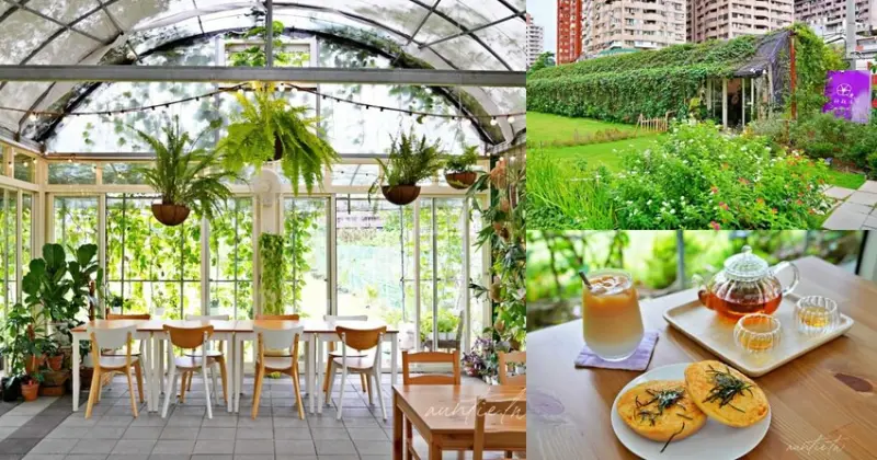 【桃園】朝顏屋 3.2K，桃林鐵道旁，照著地圖找也找不到的溫室咖啡廳