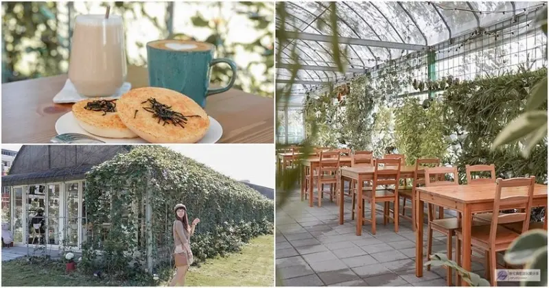 桃園美食-朝顏屋 3.2K-隱身於桃林步道旁的森林系溫室玻璃屋咖啡廳/輕食 甜點 飲品/鄰近桃園國稅局
