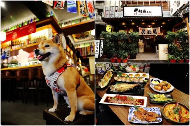 Google評論4.9星，永和必訪的人氣居酒屋，大啖平價日式料理/燒烤串燒，星期四淑女夜梅酒喝到飽，超狂！