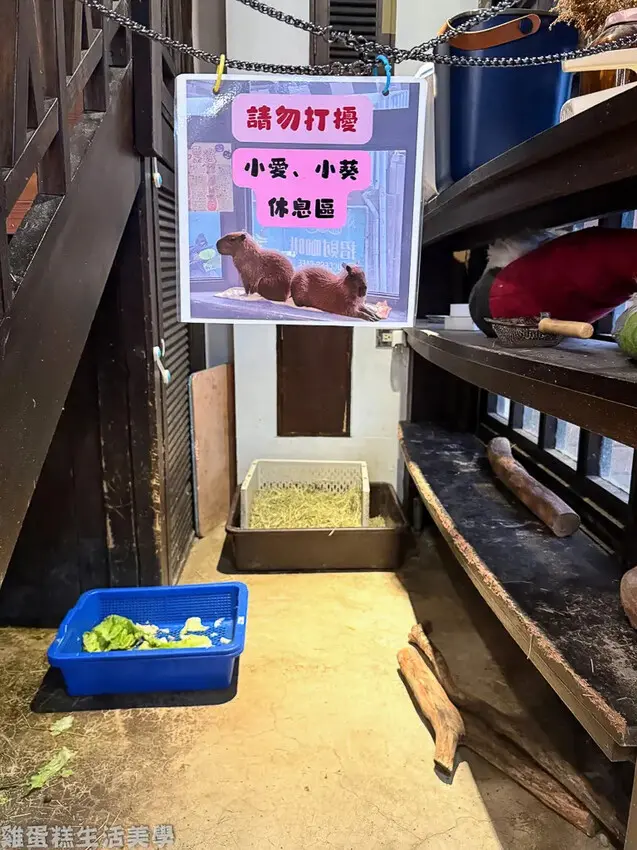 【新竹食記】招財咖啡