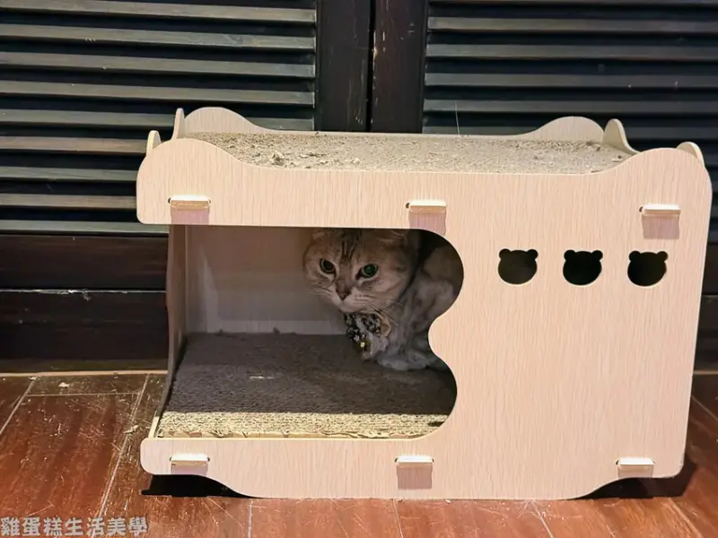 【新竹食記】招財咖啡