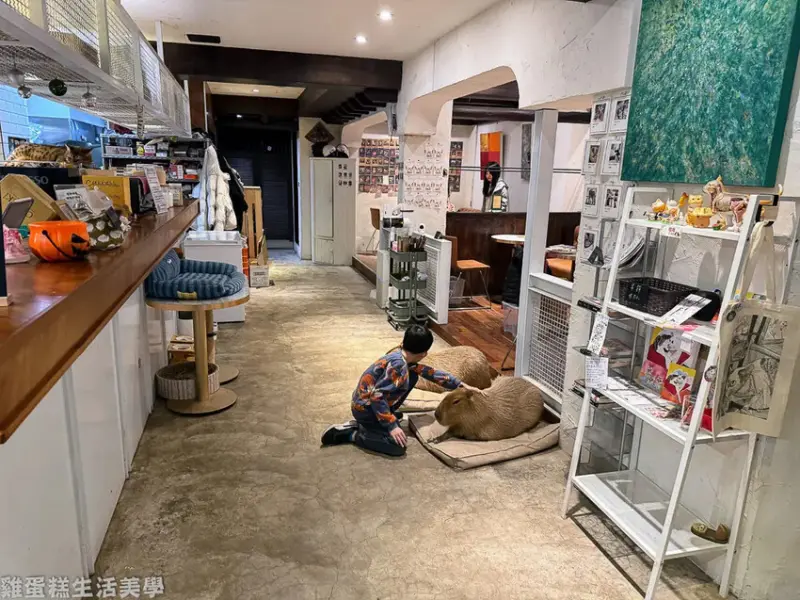 【新竹食記】招財咖啡