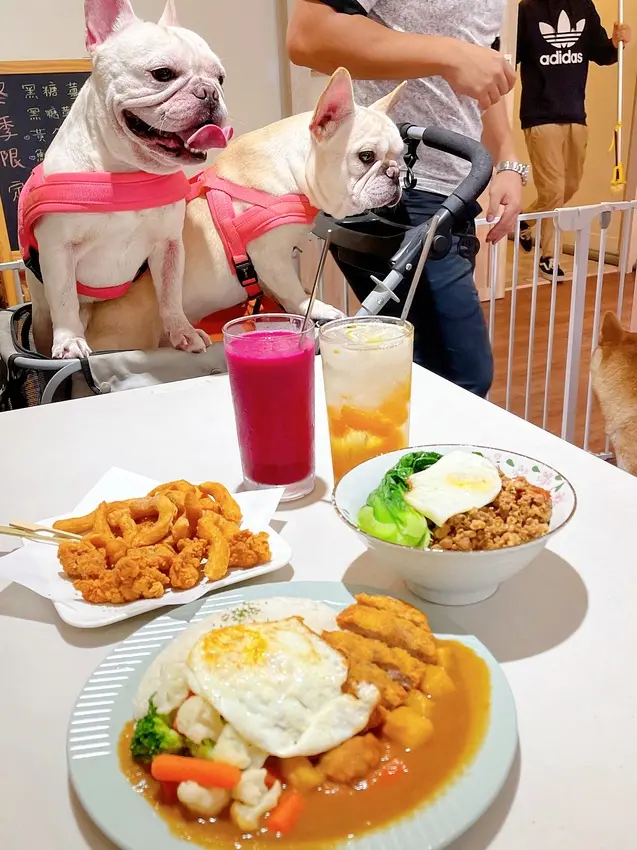 一起·轉圈圈，台中咖啡輕食甜點，寵物友善餐廳，有寵物餐，狗狗聚會活動包場，來找可愛店狗柴犬金金吧