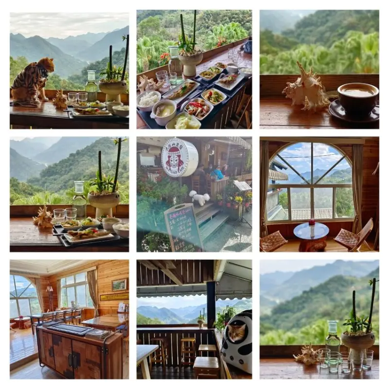 【新竹.內灣】參陳山民宿營地租借。寵物友善可落地超美山景馬告咖啡+私廚料理