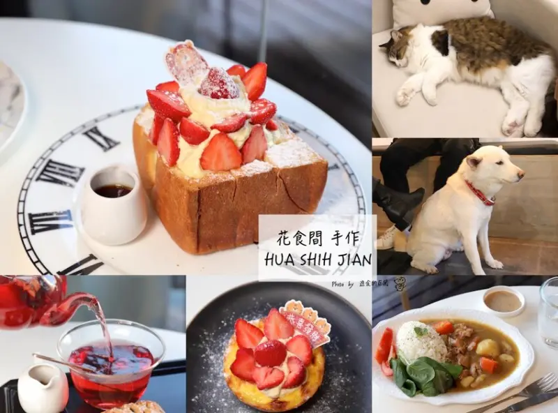 花食間 手作HUA SHIH JIAN 重新開幕~用餐空間更大更舒適，讓可愛的貓咪狗狗陪你度過放鬆的下午茶時光/神農街寵物午茶餐廳推薦 - 進食的巨鼠