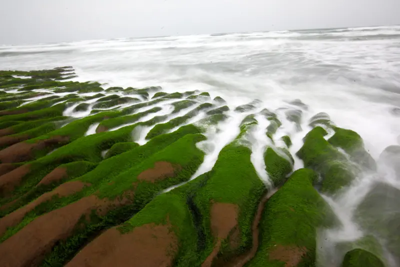 [新北石門]季節限定！春天才會出現的天然綠地毯！石門老梅綠石槽 - 大手牽小手。玩樂趣