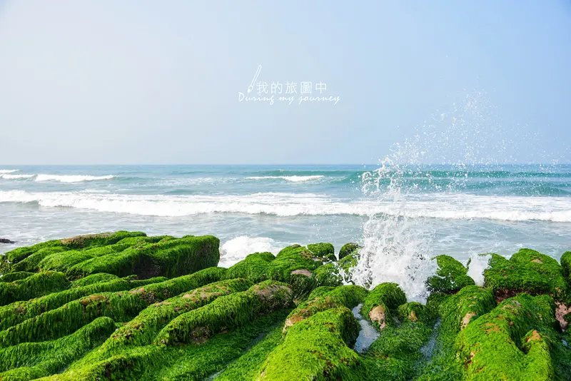 《台北石門》老梅綠石槽 春天捎來的一抹綠意、四五月季節限定景點