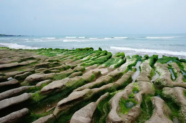 │景點│新北/老梅石糟✨✨✨每年3~5月季節限定美景x老梅綠了