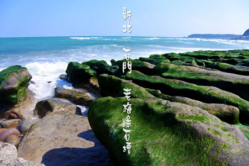 【新北市。石門區】不用等到四月，現在就綠了！絕美海濱奇景@老梅綠石槽