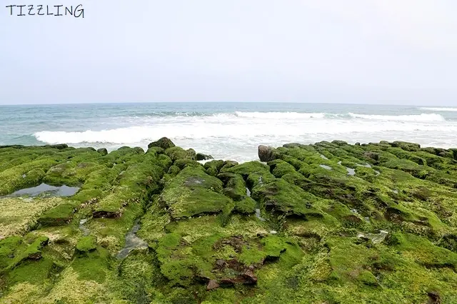 2021新北石門｜老梅綠石槽，北海岸鮮綠的春天色彩｜金山老街｜金包里老街～