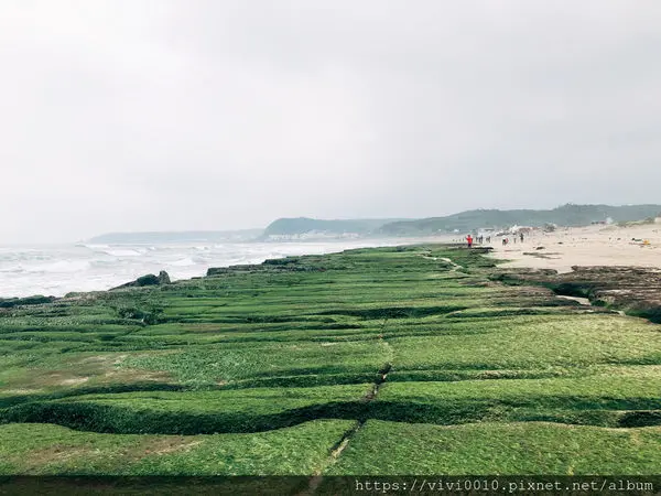 圓圓家出去玩-《新北景點》老梅綠地毯季節限定特色景觀，北海岸一日輕鬆遊~