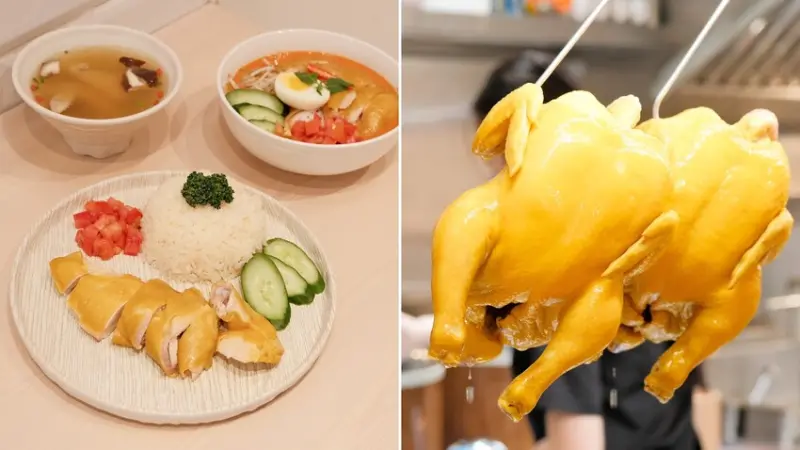 【大安區美食】有樂海南雞～台北海南雞飯推薦，台北最軟嫩美味的海南雞！新加坡道地美食、國泰醫院美食推薦～