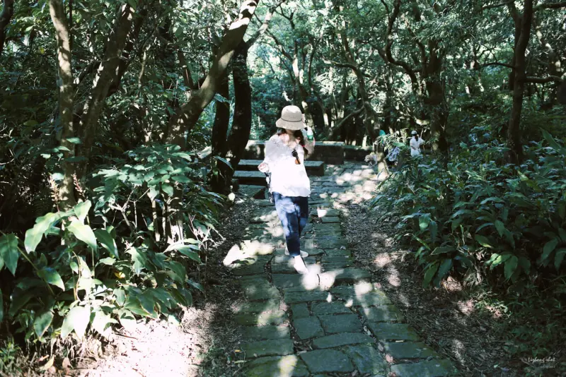 冷水坑的夏日氣息