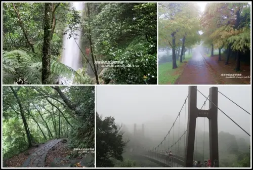 台北。雨中漫步冷水坑絹絲瀑布步道