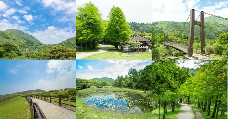 台北景點》冷水坑一日遊 陽明山美景一覽無遺 無難度新手登山 連寶寶也能走 一次順遊6景點 - 艾莉絲愛旅行