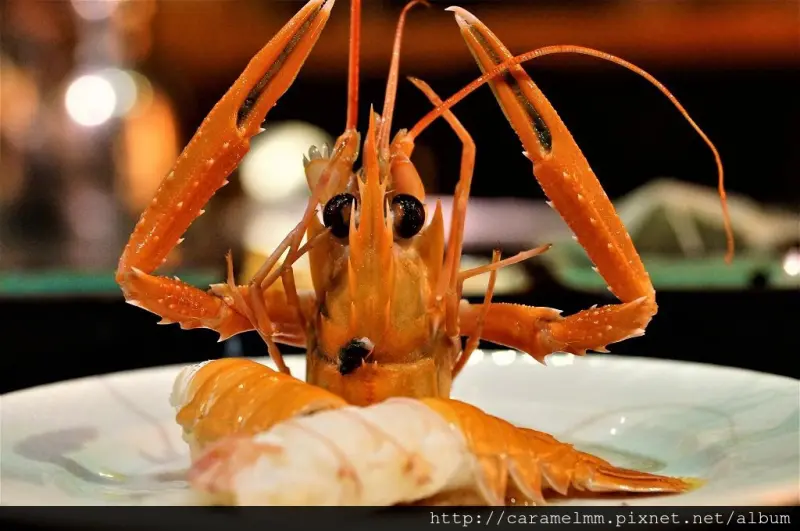 【宜蘭五結】饗宴鐵板燒 無菜單料理 新鮮在地漁貨 互動式鐵板燒寓教於樂好有趣 羅東/五結