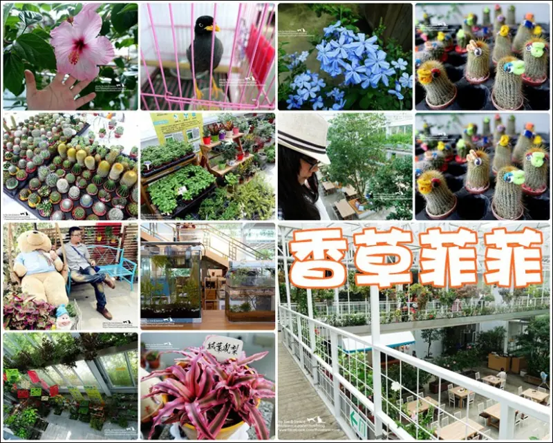 遊記°宜蘭員山 -《 香草菲菲 》玻璃打造的超大型溫室綠建築，一起被花花草草包圍吧