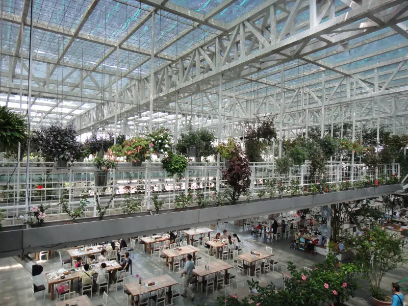宜蘭｜香草菲菲在玻璃花園浪漫用餐的體驗/吃buffet/賞花草