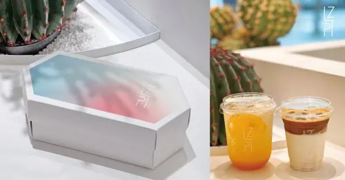 內湖咖啡館  ｜ LZPT Eatery 現代簡約純白仙人掌咖啡廳 寵物友善 餐點多樣素食可