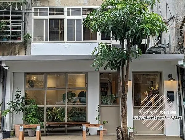 台北信義-[Morn Sun Forest.慕日森林] 近永春站永吉公園旁巷弄，韓系奶白色木調質感空間，鬆軟北海道奶霜戚風蛋糕療癒身心，被綠意植栽包圍花店裡的咖啡館