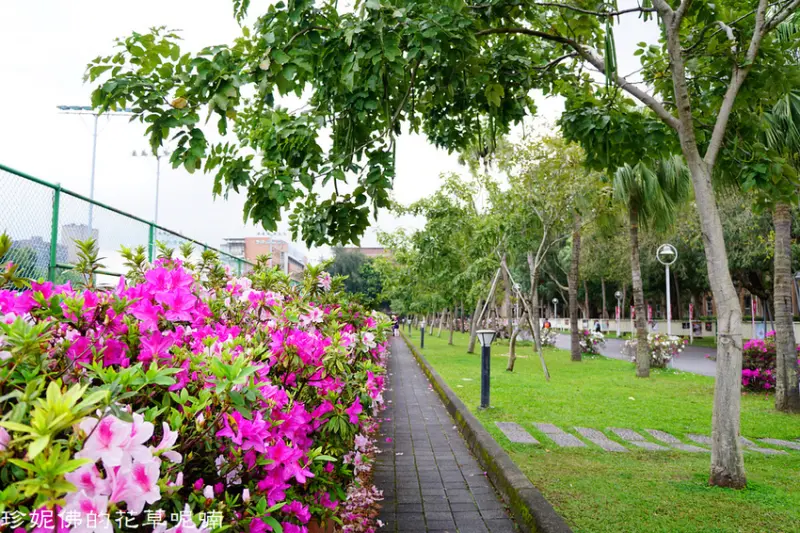 【台北-大安區】2019臺大杜鵑花節3/1-3/31