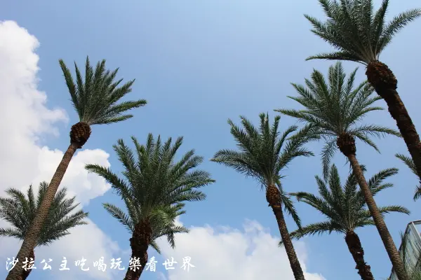 青年公園【萬華】