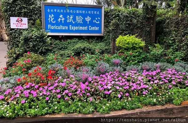 [台北景點]花卉試驗中心~免費賞花又一處