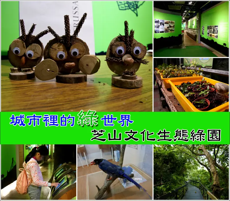 【台北市。士林區】讓孩子接觸自然！城市裡的森林寶庫@芝山文化生態綠園