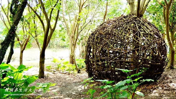 【台北市／北投】超大鳥窩你看過嗎？？♪♪關渡自然公園♪♪                
      